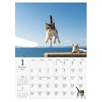 Amazon.co.jp: 2025年 飛び猫 カレンダー No.034 : 文房具